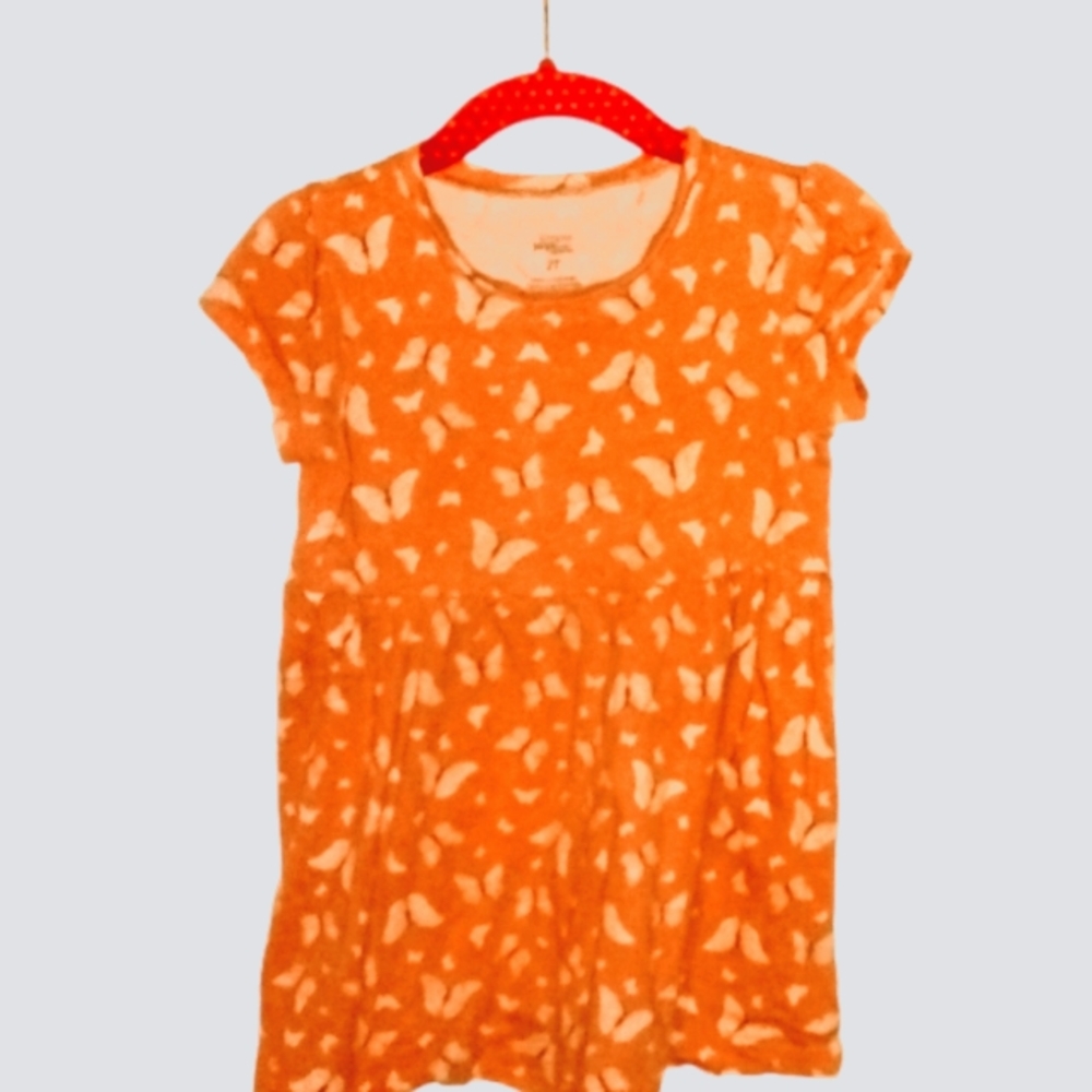 Toddler Sized Simple Joys by Carter's Butterfly and Flower Dresses